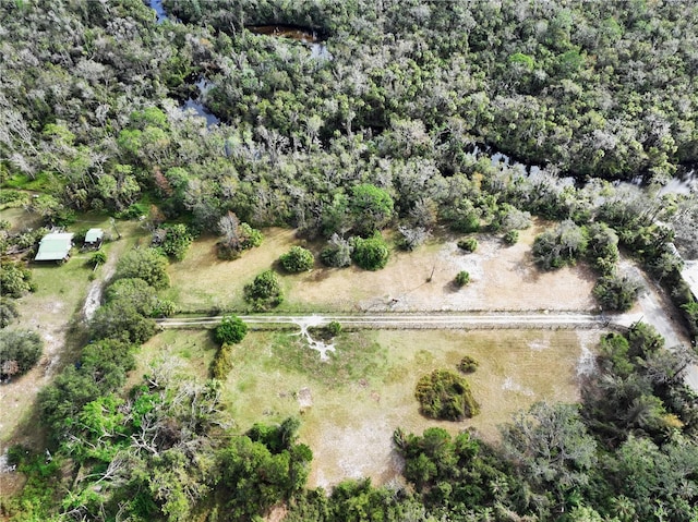 3350 39th Ave SE, Ruskin, FL 33570 - photo 49