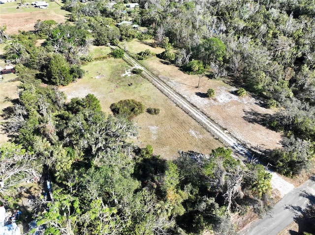 3350 39th Ave SE, Ruskin, FL 33570 - photo 62