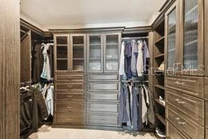 view of walk in closet