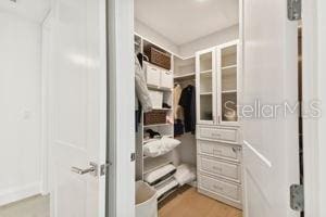 view of spacious closet