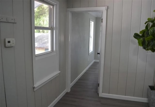 hallway with plenty of natural light, dark hardwood / wood-style flooring, and wooden walls