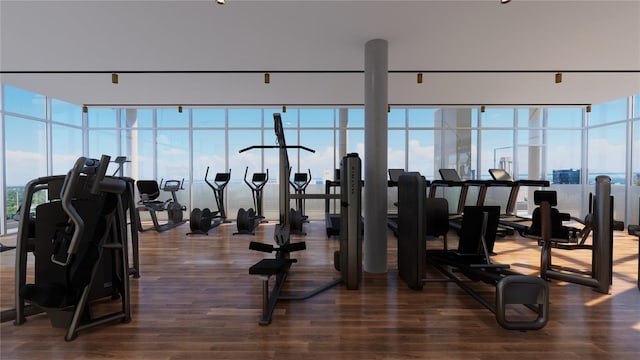 gym with a wall of windows and dark hardwood / wood-style floors