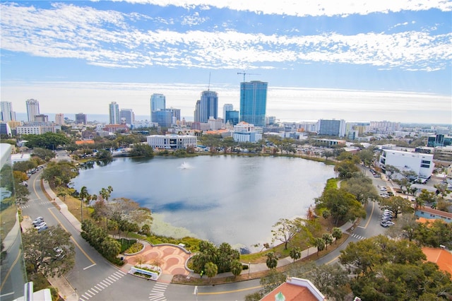 aerial view with a water view