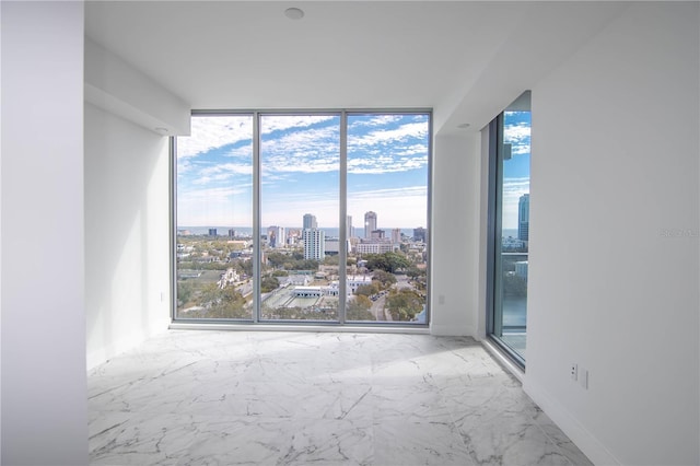 spare room featuring a healthy amount of sunlight and floor to ceiling windows