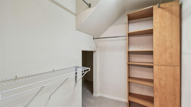 2024 Capri Ln, Mount Dora, FL 32757 - spacious closet featuring light carpet and lofted ceiling