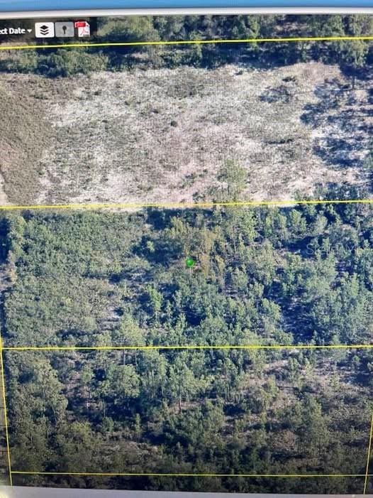 18472 Ramsey Rd, Brooksville FL, 34614 land for sale