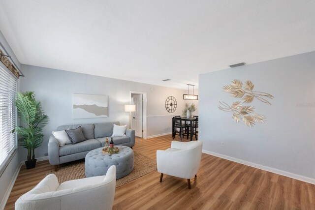 living room featuring wood-type flooring