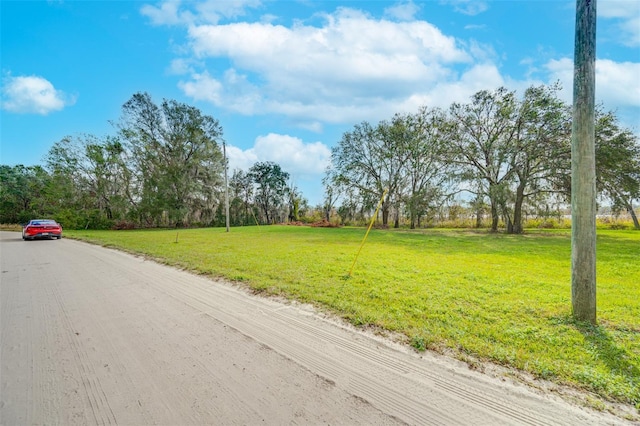 0000 Mckendree Rd, Wesley Chapel, FL 33545 - photo 19