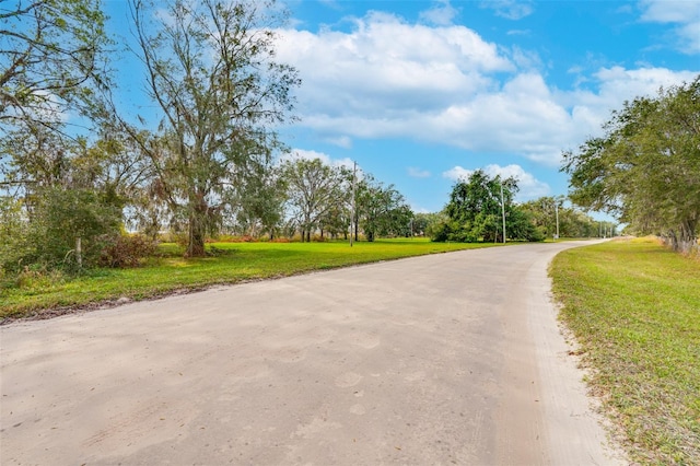 0000 Mckendree Rd, Wesley Chapel, FL 33545 - photo 24