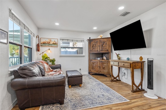 living room with light hardwood / wood-style floors and a healthy amount of sunlight