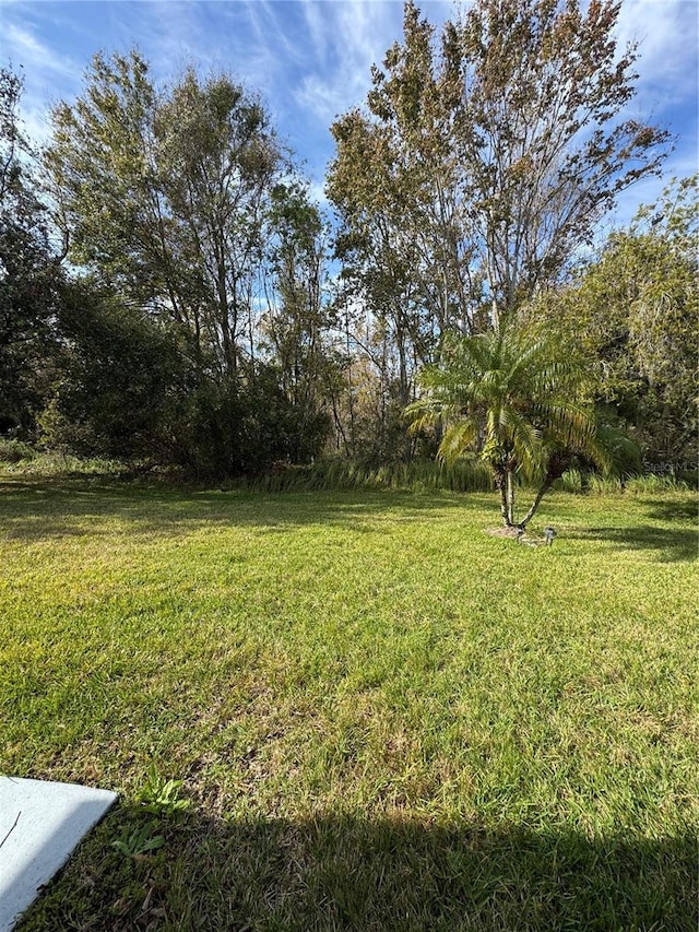 3323 Songbird Ln, Lakeland, FL 33811 - photo 27