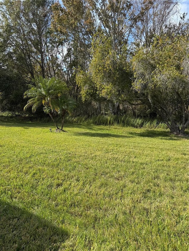 3323 Songbird Ln, Lakeland, FL 33811 - photo 30
