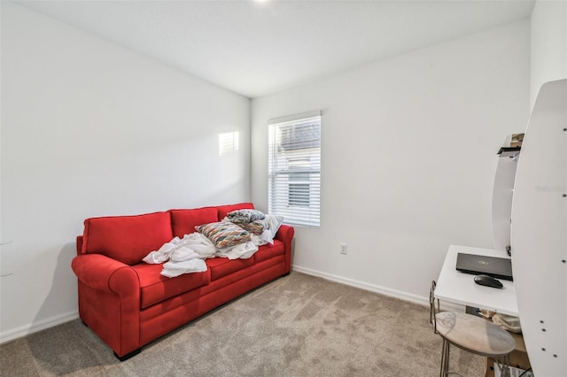 living area featuring carpet flooring