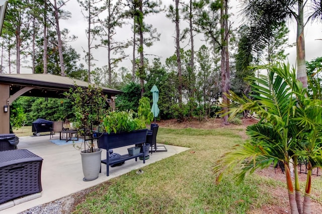 view of yard with a patio area