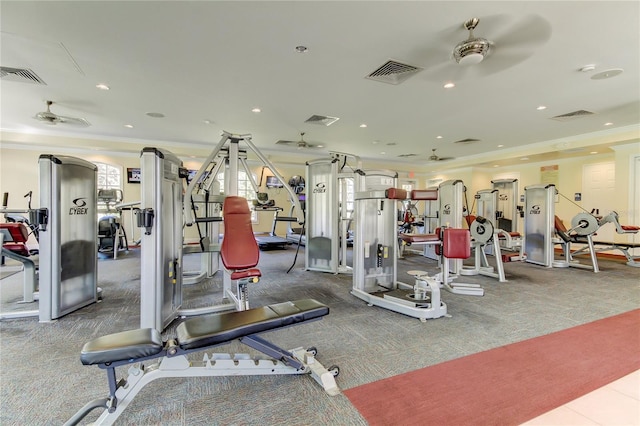 workout area with carpet flooring, ceiling fan, and ornamental molding