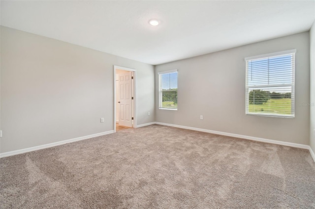 spare room featuring carpet