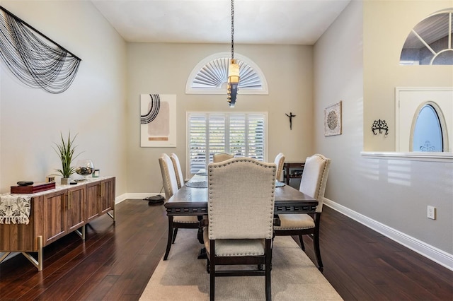 dining area featuring dark wood-type flooring