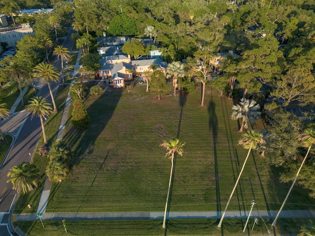 435 Edgewater Dr, Dunedin, FL 34698 - photo 5