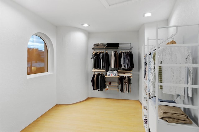 walk in closet with wood-type flooring