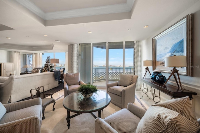 living area featuring a raised ceiling and crown molding