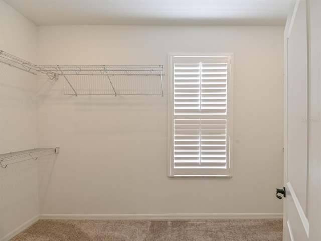 spacious closet featuring light carpet