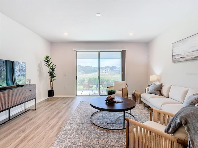 living room featuring light hardwood / wood-style floors