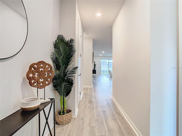 hall featuring light hardwood / wood-style flooring