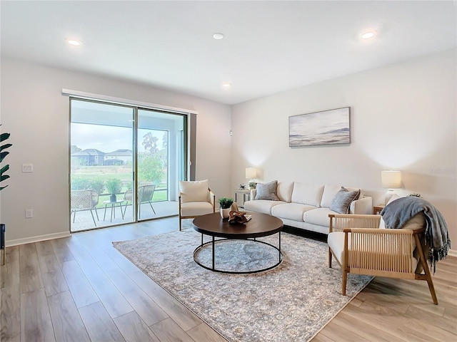 living room featuring light hardwood / wood-style floors