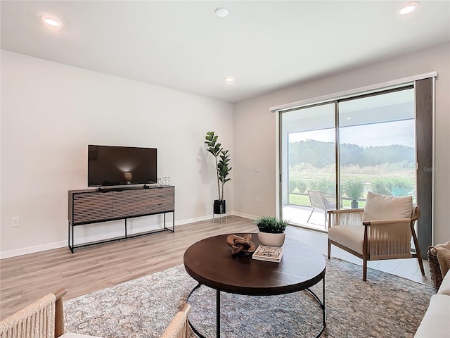 living room featuring light wood-type flooring