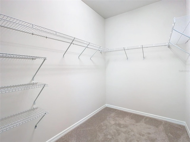 walk in closet with carpet