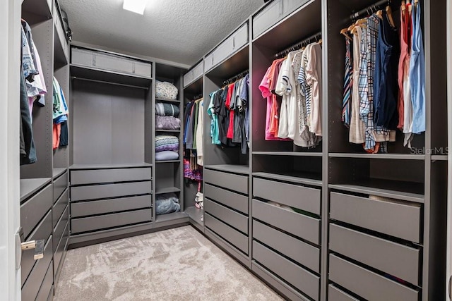 walk in closet with light carpet