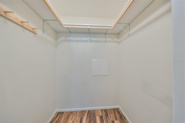 spacious closet featuring hardwood / wood-style flooring