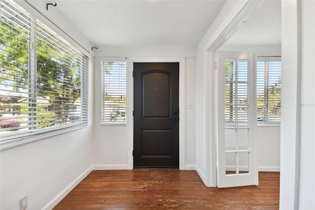 foyer with dark hardwood / wood-style floors and a healthy amount of sunlight