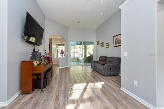 living room with hardwood / wood-style floors