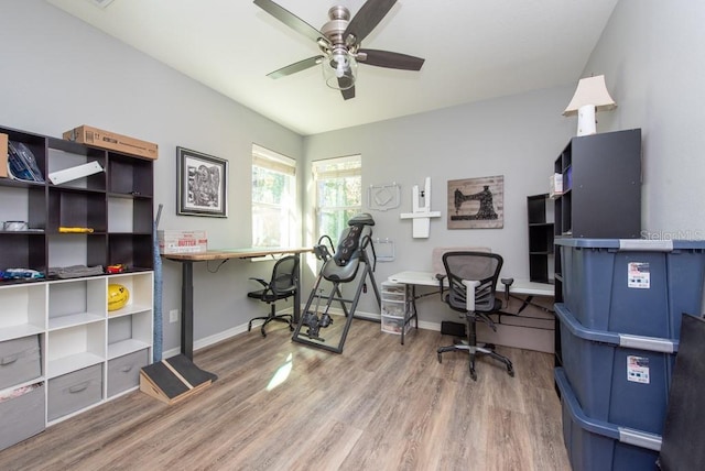 office featuring hardwood / wood-style flooring and ceiling fan