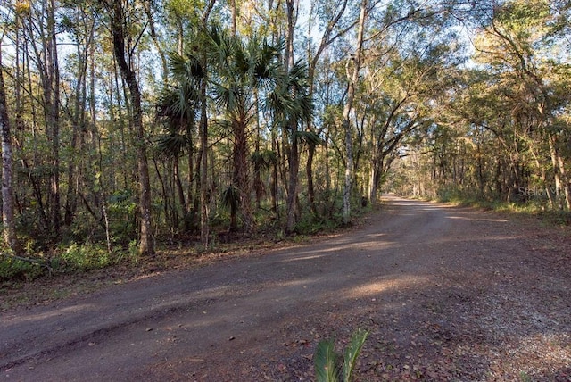 view of road