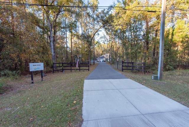 view of community with a yard