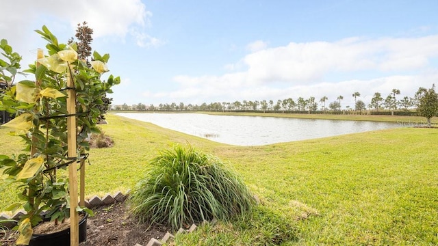 view of water feature