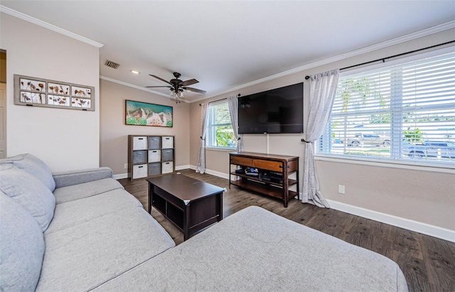 living room featuring ceiling fan, dark hardwood / wood-style floors, and ornamental molding