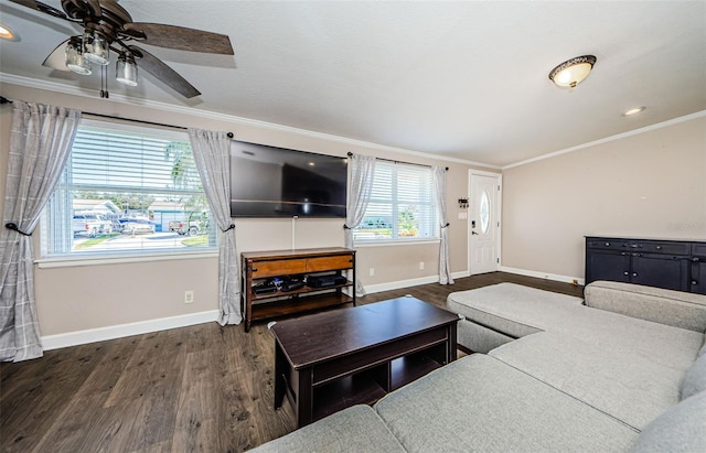 living room featuring ornamental molding, dark hardwood / wood-style floors, and a healthy amount of sunlight