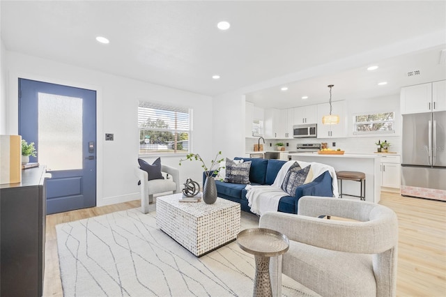 living room featuring light hardwood / wood-style floors and sink