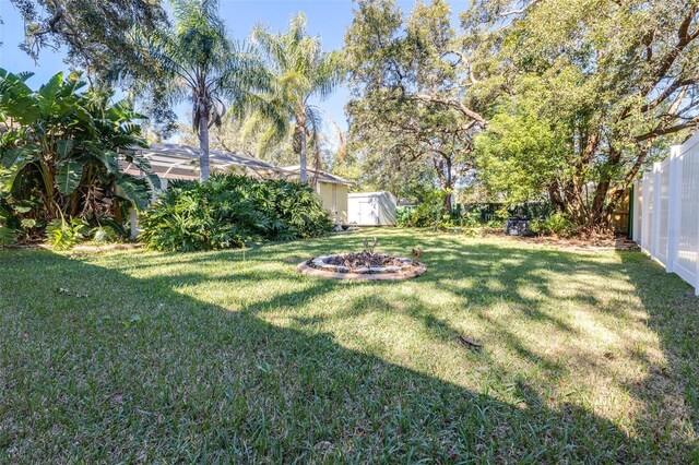 view of yard featuring a shed