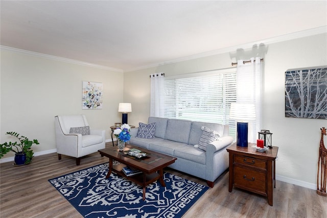 living room with wood-type flooring and crown molding