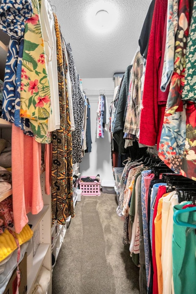 spacious closet with carpet floors