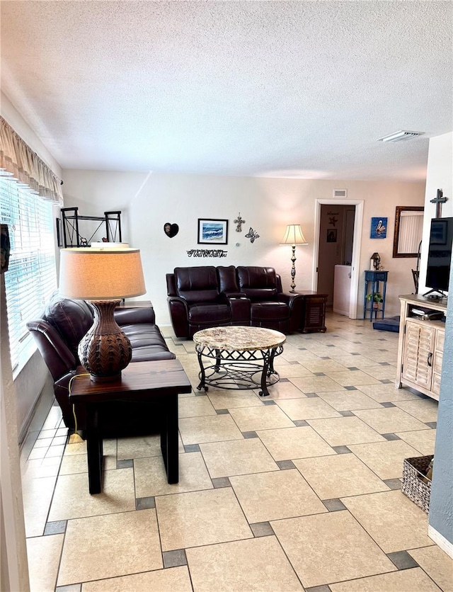 living room featuring a textured ceiling