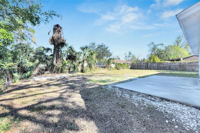 view of yard featuring a patio