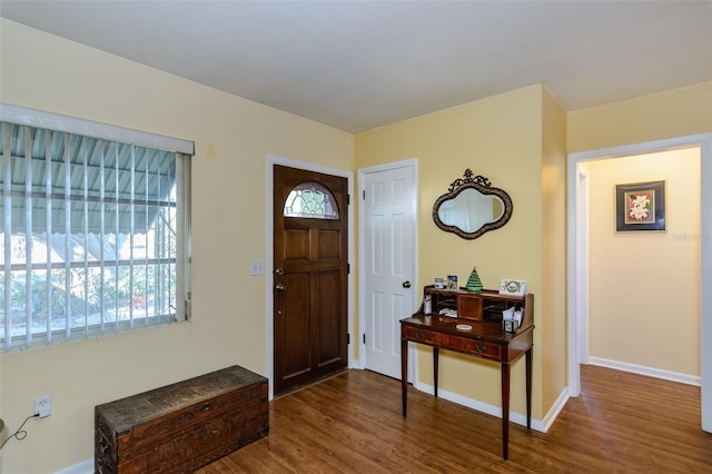 entryway with hardwood / wood-style floors