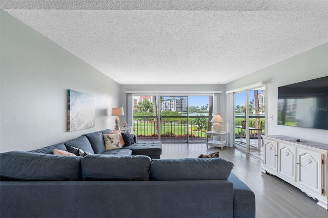 living room featuring a healthy amount of sunlight, wood-type flooring, and a textured ceiling