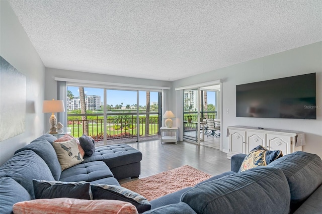 living room featuring a textured ceiling and light hardwood / wood-style flooring