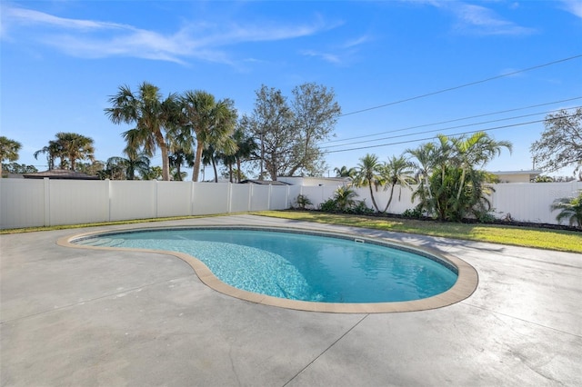 view of pool with a patio area